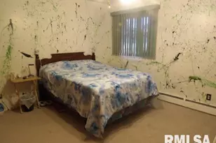 736 N Mill St, Carrier Mills, IL 62917 - Photo 18