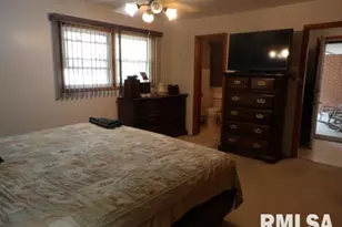 736 N Mill St, Carrier Mills, IL 62917 - Photo 22