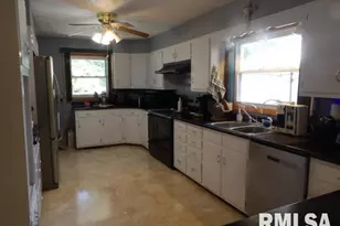 736 N Mill St, Carrier Mills, IL 62917 - Photo 8