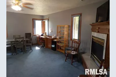 736 N Mill Street, Carrier Mills, IL 62917 - Photo 14