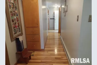 736 N Mill Street, Carrier Mills, IL 62917 - Photo 16