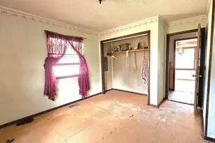 518 Fife St, Carrier Mills, IL 62917 - Photo 10