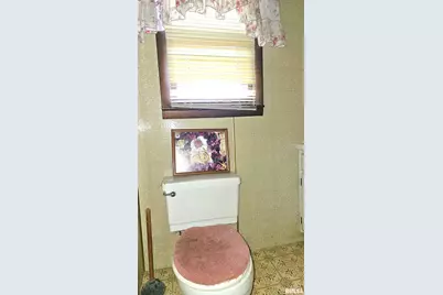 518 Fife Street, Carrier Mills, IL 62917 - Photo 16