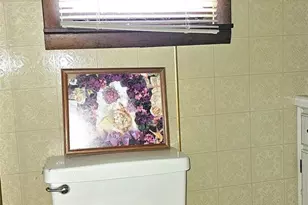 518 Fife St, Carrier Mills, IL 62917 - Photo 16