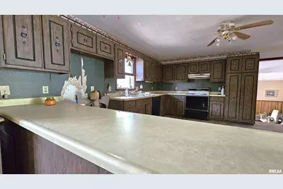 518 Fife Street, Carrier Mills, IL 62917 - Photo 4