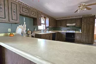 518 Fife St, Carrier Mills, IL 62917 - Photo 4