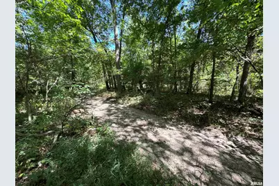 3920 Herrin Road, Carterville, IL 62918 - Photo 34