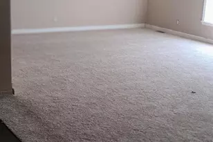 16035 Caplinger Pond Rd, Marion, IL 62959 - Photo 10