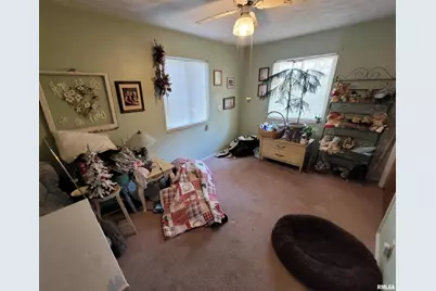 1133 W Boone Street, Salem, IL 62881 - Photo 14