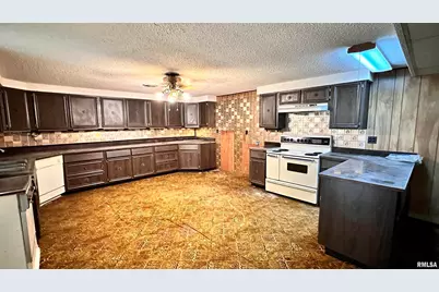 135 Tatia Drive, Orangeville, IL 62896 - Photo 20