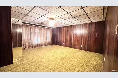 135 Tatia Drive, Orangeville, IL 62896 - Photo 18