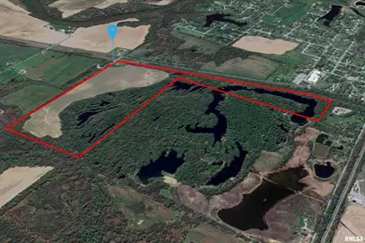 53 Private Road Road, Desoto, IL 62924 - Photo 10