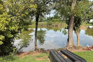 12 Hickory St, Nashville, IL 62263 - Photo 8