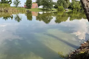 12 Hickory St, Nashville, IL 62263 - Photo 10