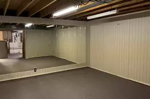 12 Hickory St, Nashville, IL 62263 - Photo 52