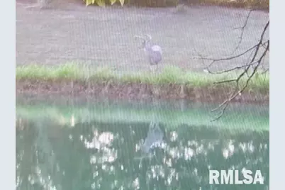 4490 Brushy Creek Church Road, Galatia, IL 62935 - Photo 56