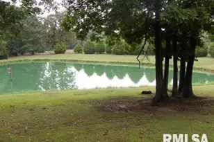 4490 Brushy Creek Church Rd, Galatia, IL 62935 - Photo 12