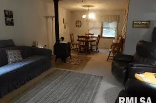 4490 Brushy Creek Church Rd, Galatia, IL 62935 - Photo 38