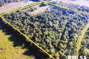 4490 Brushy Creek Church Rd, Galatia, IL 62935 - Photo 6