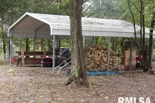 4490 Brushy Creek Church Rd, Galatia, IL 62935 - Photo 48