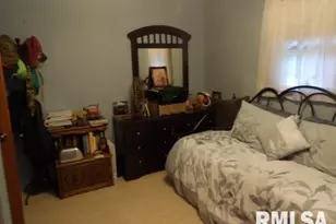 4490 Brushy Creek Church Rd, Galatia, IL 62935 - Photo 26