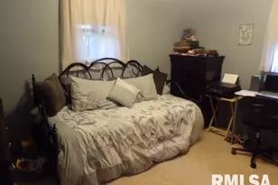 4490 Brushy Creek Church Rd, Galatia, IL 62935 - Photo 22