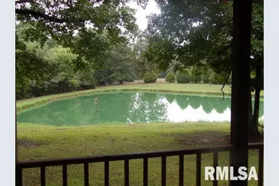 4490 Brushy Creek Church Road, Galatia, IL 62935 - Photo 10