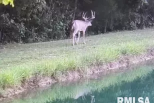 4490 Brushy Creek Church Rd, Galatia, IL 62935 - Photo 54