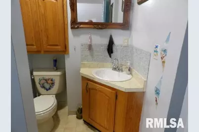 4490 Brushy Creek Church Road, Galatia, IL 62935 - Photo 20