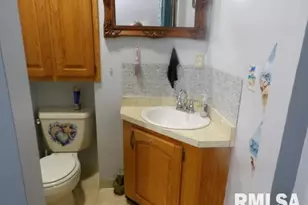 4490 Brushy Creek Church Rd, Galatia, IL 62935 - Photo 20