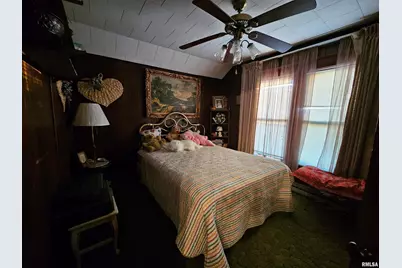 13675 Highway 45, Ozark, IL 62972 - Photo 12