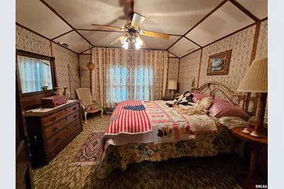 13675 Highway 45, Ozark, IL 62972 - Photo 10