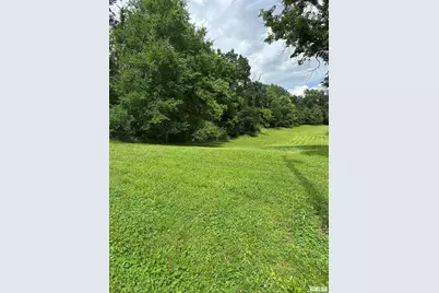 615 Liberty Road, Harrisburg, IL 62946 - Photo 4