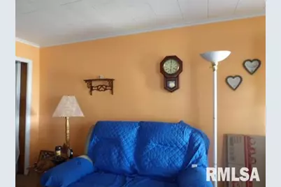 205 W Washington Street, CarrierMls, IL 62917 - Photo 14