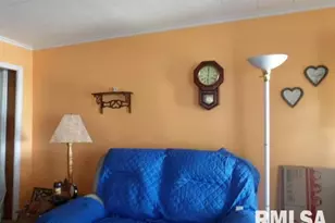 205 W Washington St, CarrierMls, IL 62917 - Photo 14