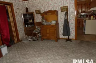 205 W Washington St, CarrierMls, IL 62917 - Photo 6