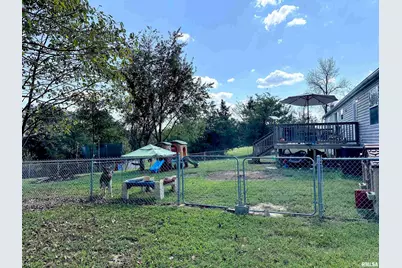 65 Payne Drive, Orangeville, IL 62939 - Photo 50