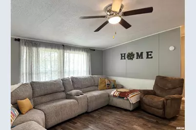 65 Payne Drive, Orangeville, IL 62939 - Photo 20