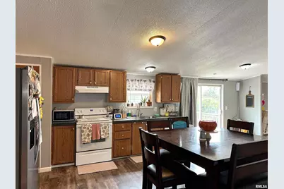 65 Payne Drive, Orangeville, IL 62939 - Photo 6