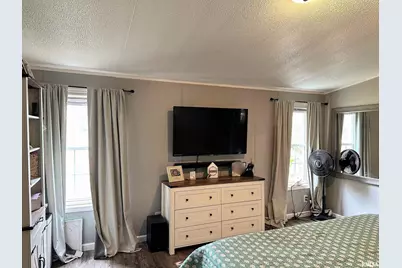 65 Payne Drive, Orangeville, IL 62939 - Photo 16