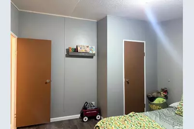 65 Payne Drive, Orangeville, IL 62939 - Photo 34