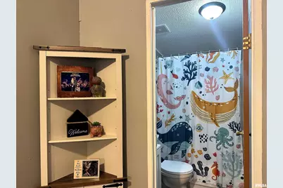 65 Payne Drive, Orangeville, IL 62939 - Photo 30