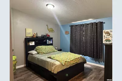 65 Payne Drive, Orangeville, IL 62939 - Photo 32