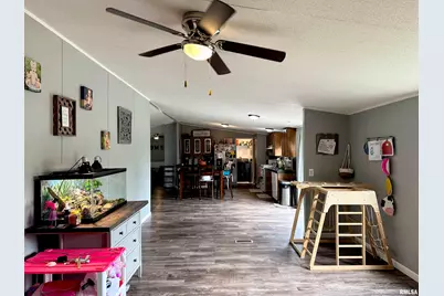 65 Payne Drive, Orangeville, IL 62939 - Photo 8