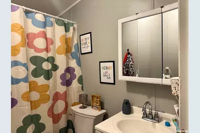 65 Payne Drive, Orangeville, IL 62939 - Photo 24