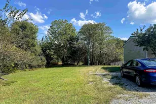 65 Payne Dr, Orangeville, IL 62939 - Photo 54