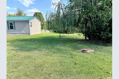 65 Payne Drive, Orangeville, IL 62939 - Photo 42