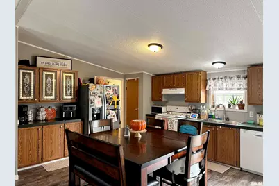 65 Payne Drive, Orangeville, IL 62939 - Photo 10