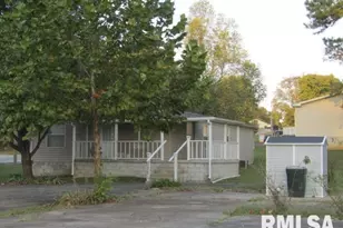 731 Bohn St, Rosiclare, IL 62982 - Photo 2