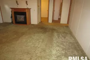 731 Bohn St, Rosiclare, IL 62982 - Photo 12